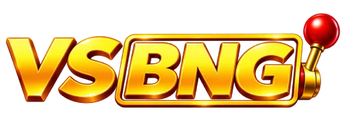 VSBNG logo